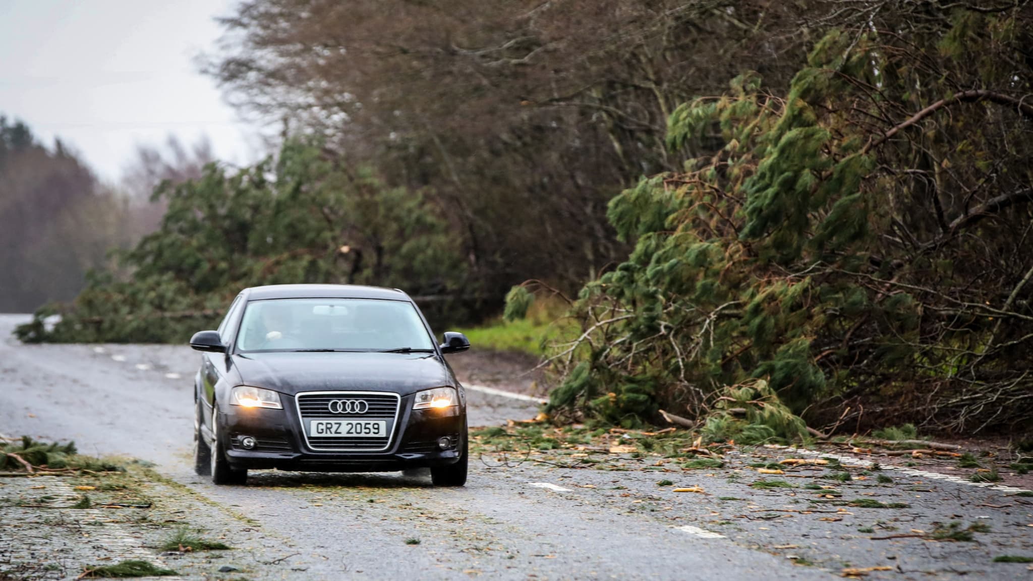 Une route avec des arbres tombés à Ballymena Co Antrim, en Irlande du Nord, le 24 janvier 2025, lors du passage de la tempête Eowyn.