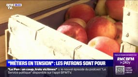 Agriculture, restauration... les patrons sont favorables au titre de séjour pour les "métiers en tension"