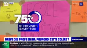 Grève des écoles en Île-de-France: pourquoi cette colère?