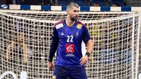 Luka Karabatic lors du Mondial de handball.