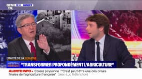 Jean-Luc Mélenchon: "On a besoin d'une transformation profonde de l'agriculture"