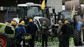 Des manifestants de la Coordination rurale à Pessac, en Gironde, le 19 novembre 2024