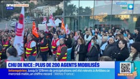 Plus de 200 agents hospitaliers mobilisés contre la réforme expérimentale du CHU de Nice