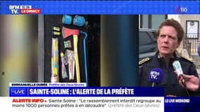 Sainte-Soline: "des haches, des machettes et des couteaux" ont été trouvés sur certains manifestants, alerte la préfète des Deux-Sèvres