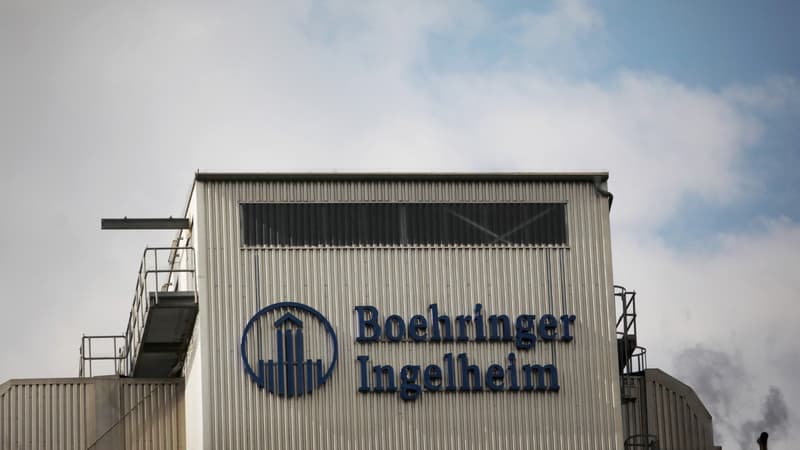 Lyon: Mouvement De Grève à Boehringer Ingelheim Contre Des Suppressions ...