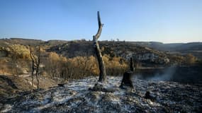 Des terres brûlées après l'incendie près de Fontjoncouse, dans l'Aude, le 8 août 2025