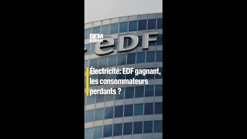 Prix de électricité: EDF gagnant, les consommateurs perdants ?