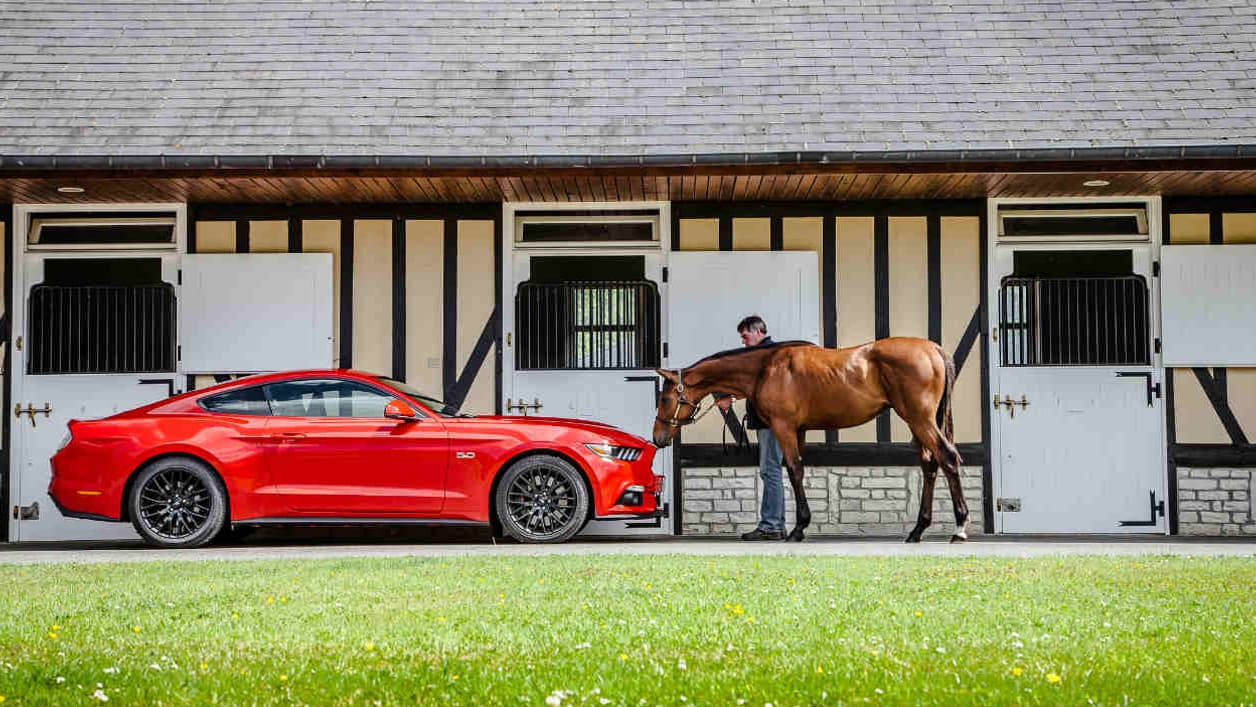 La Mustang se décline avec moteur quatre cylindres EcoBoost de 317ch ou un V8 5.0 de 421ch. La Mustang se décline avec moteur quatre cylindres EcoBoost de 317ch ou un V8 5.0 de 421ch.