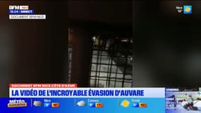 Évasion du CRA de Nice: la vidéo de l'incroyable fuite de la caserne