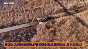 FOCUS : Château-Arnoux, opération de faucardage au lac de l'Escale