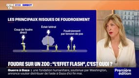 Qu'est-ce que "l'effet flash" qui a blessé plusieurs personnes au sein du zoo de La Barben?
