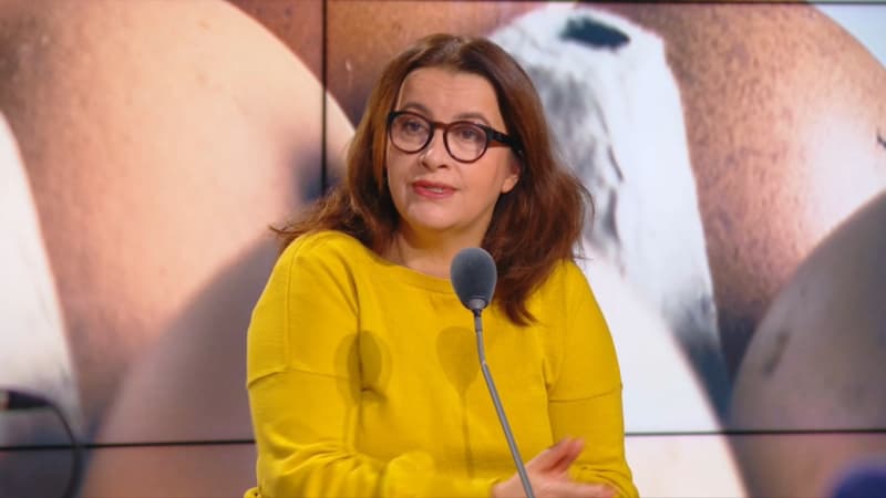 "La folie des oeufs a contaminé la ministre de l'Agriculture": pour Cécile Duflot, la pénurie n'est pas dûe aux normes