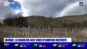Rhône : le marché aux vins d'Ampuis reporté