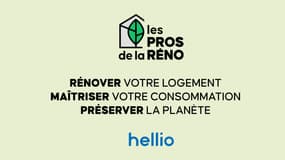 Les Pros de la Réno.