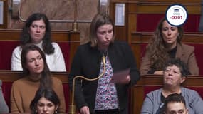 "Sans mesure ambitieuse, nos campagnes risquent de finir aussi vides que la loi que nous attendons depuis un an" assure Mathilde Hignet (LFI)