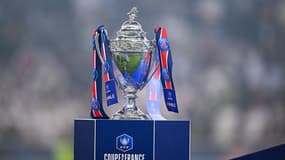 Le trophée de la Coupe de France lors de la finale en mai 2024