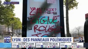 Les militants anti-pub dénoncent l'installation de panneaux publicitaires sur les quais du Rhône à Lyon