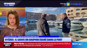 Un dauphin bloqué secouru par un agent portuaire à Hyères
