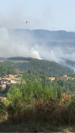 Feu de forêt à Planzolles - Témoins BFMTV