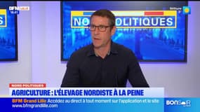 Agriculture: quelles solutions pour sortir l'élevage nordiste de la crise?