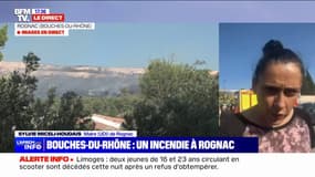 Incendie à Rognac: "Une cellule de crise" a été déclenchée à la mairie, annonce la maire Sylvie Miceli-Houdais (UDI)