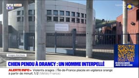 Drancy: un homme interpellé pour avoir pendu un chien