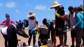  Brésil: au moins 500 bénévoles nettoient les plages polluées aux hydrocarbures 