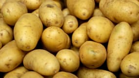 Des pommes de terre à Revelles (Somme), le 5 décembre 2012 (photo d'illustration).
