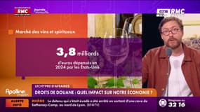 Droits de douane: quel impact sur notre économie? 