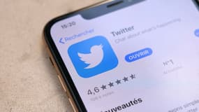 Twitter compte près de 10 millions de membres en France. 