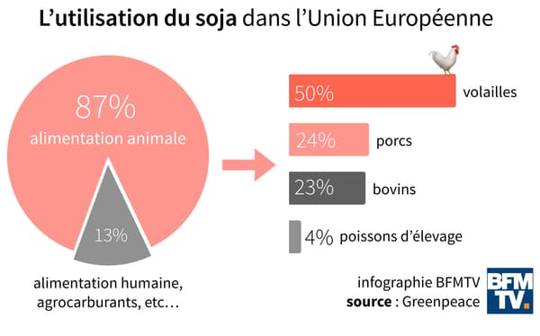 L'utilisation du soja dans l'Union Européenne. L'utilisation du soja dans l'Union Européenne.