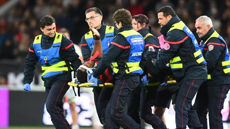 Stade Toulousain: examens à venir pour Colombe, Hawkes de retour de Provence Rugby