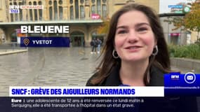 Normandie: les aiguilleurs en grève ce lundi, 9 lignes totalement interrompues