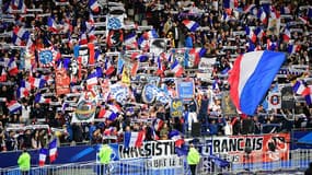 Des supporters tricolores lors de France-Islande en 2019