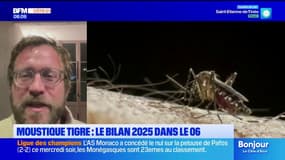 Moustique tigre : le bilan 2025 "inédit" dans les Alpes-Maritimes
