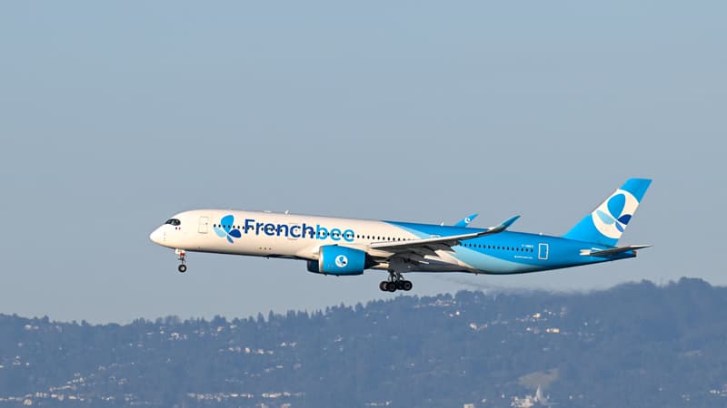 L'Amérique attire moins les touristes français: la compagnie low-cost French Bee avec ses Paris-New York à moins de 300 euros a perdu de l'argent en 2025