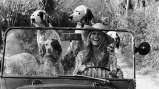 Brigitte Bardot et ses chiens au volant de la Moke.