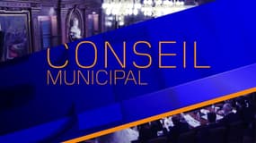 Conseil municipal de Lyon du 30-09-21 en LSF
