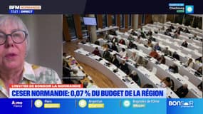 CESER Normandie: pourquoi ces conseils économiques sont-ils menacés de suppression ?