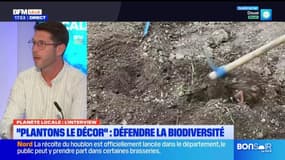 Planète Locale du lundi 9 septembre - “Plantons le décor” : plus de 30 ans de succès