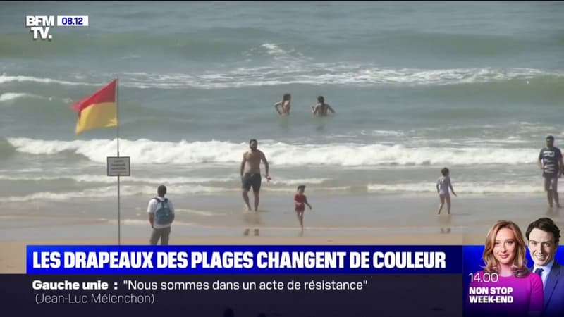 Des nouveaux drapeaux sur les plages françaises