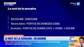 Lou Cafè Prouvençau: "En Doume", le mot de la semaine