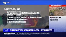 Violences à Sainte-Soline: un manifestant de 30 ans toujours entre la vie et la mort