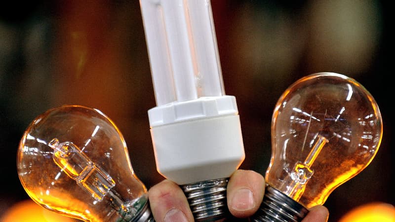 Les fabricants d'ampoules basse consommation sont dans le collimateur des associations de défense de l'environnement. (image d'illustration).