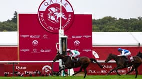 Bluestocking sacré dans le Qatar Prix de l'Arc de Triomphe