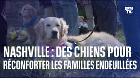 Fusillade à Nashville : des chiens pour réconforter les familles endeuillées