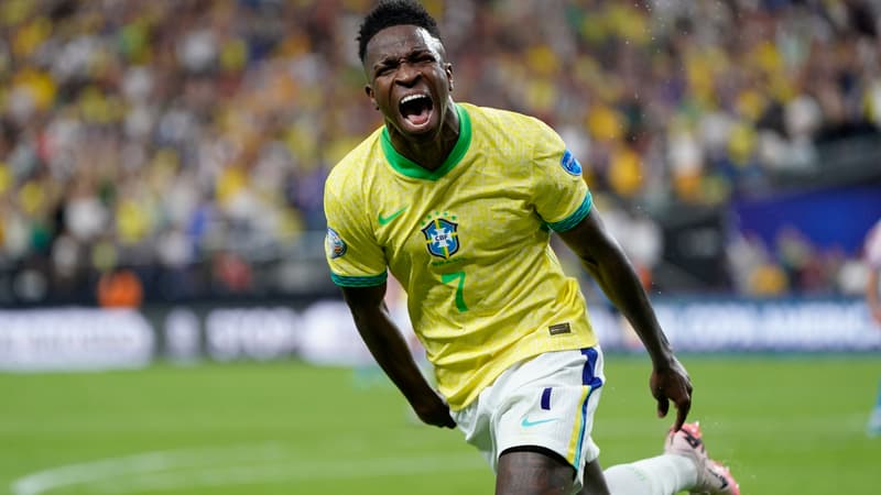 Vinicius - Brésil