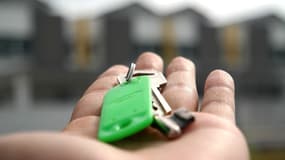 La loi Nogal sur les relations entre les propriétaires et les locataires se dévoile