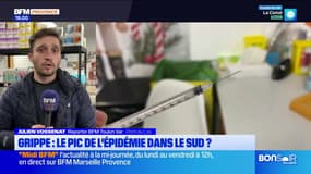 Grippe : le pic de l'épidémie dans le Sud ? 