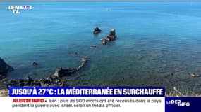 Canicule: la biodiversité marine directement menacée en Méditerranée à cause des fortes chaleurs 